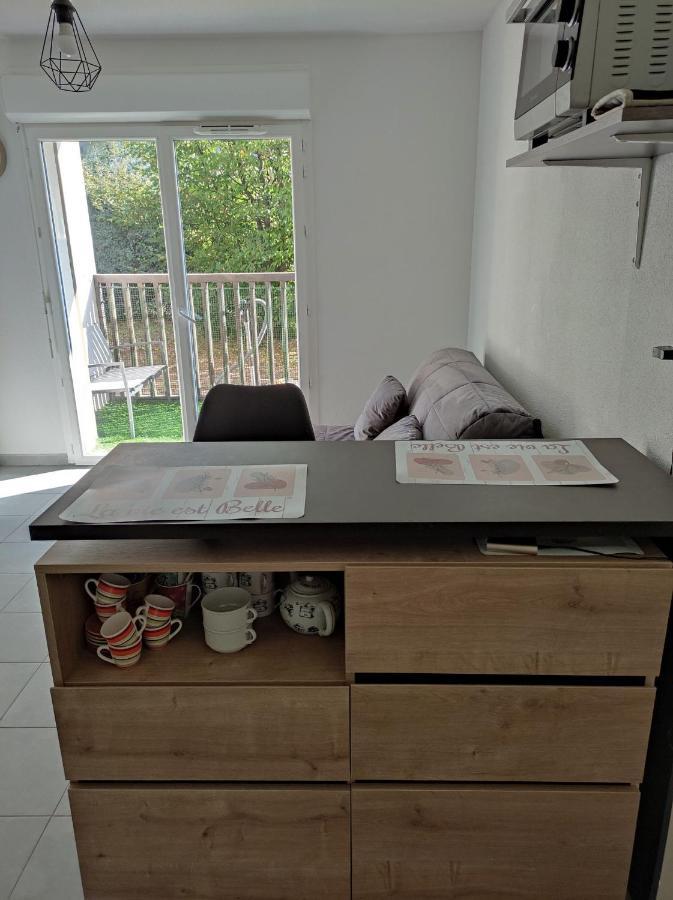 Superbe Appartement En Rez-De-Jardin A Lanton Eksteriør bilde